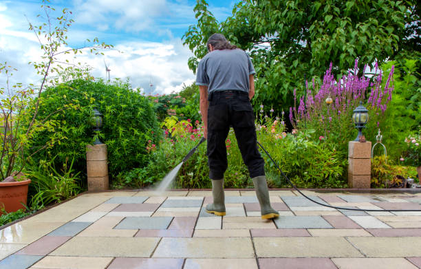 Animal Enclosure Cleaning in Onalaska, TX